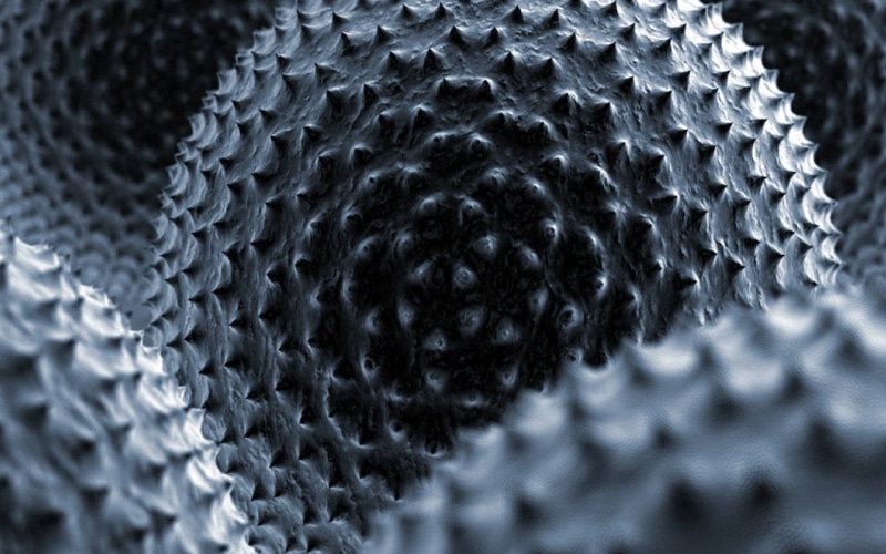 natural pattern, shape, thorns, abstract, macro, studio shot, textile, necklace, textured, pattern, metal, technology, steel, extreme close-up, black background