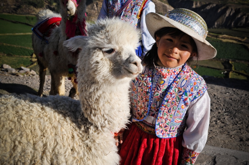 child, little girl, the colca valley, smiling, looking at camera, indigenous Culture, ande, one person, clothing, alpaca, girls, animal, one animal, females
