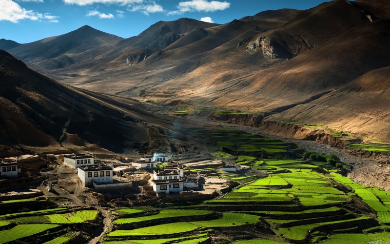 mountain Range, agriculture, urubamba Valley, india, valley, himalayas, terraced Field, architecture, land, tranquil scene, jammu and Kashmir, mountain