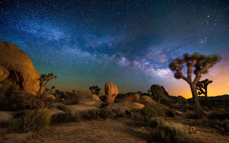 desert, night, usa, desktop, area, 1080P, tree, hd, starry, california, national, sky, park, joshua