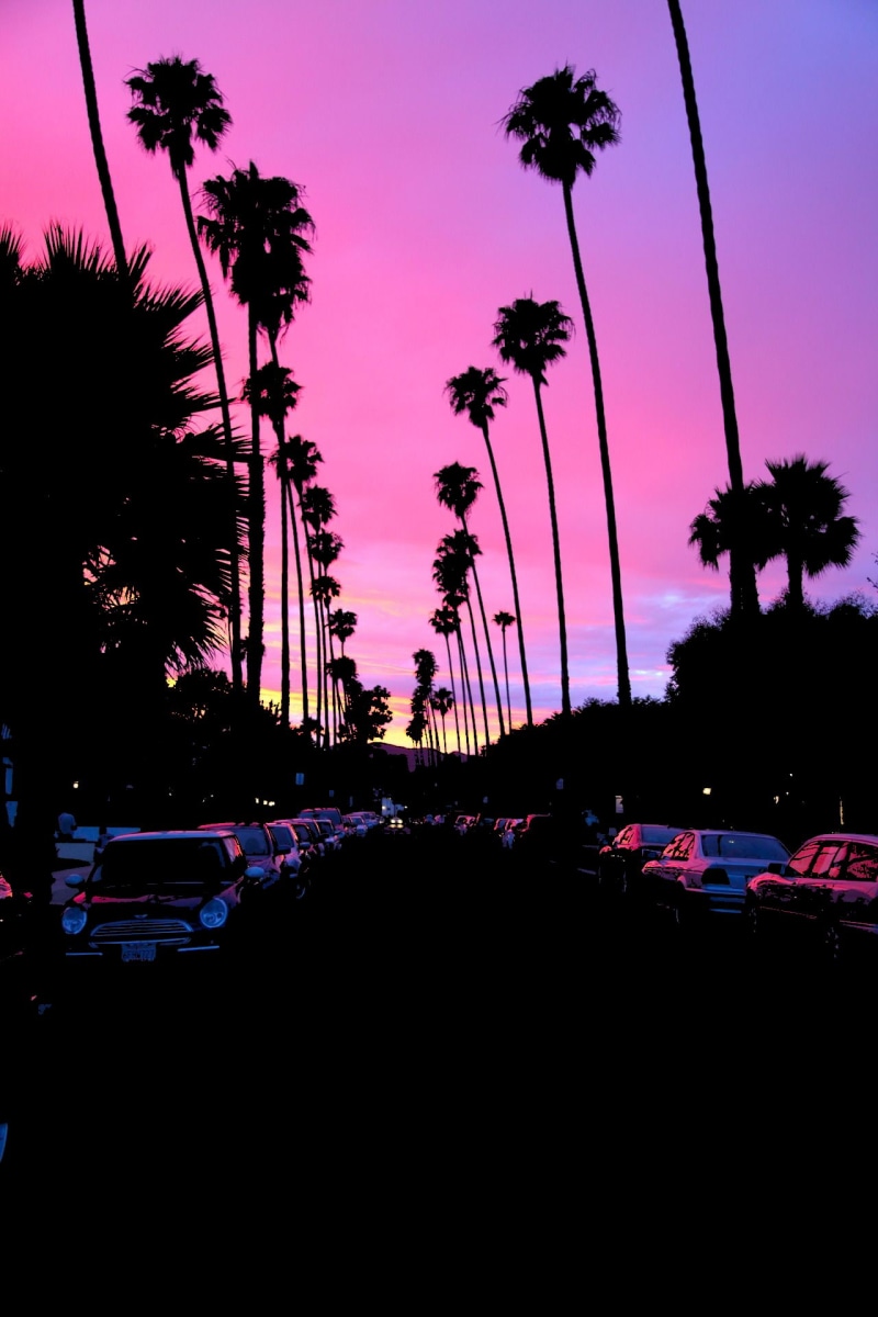 1080P, dark, palm trees, sunset, road, car, California