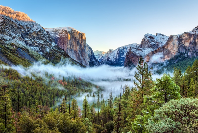 mist, pine tree, sunset, beauty in nature, nature, environment, non-urban scene, tree, snow, scenics - nature, day, mountain range, land, trees, tranquility