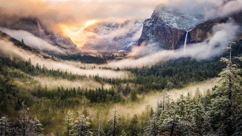 mountain range, cloud - sky, nature, tree, sky, woodland, mountain peak, green, beauty in nature, plant, pinaceae, environment, mountain, no people, coniferous tree