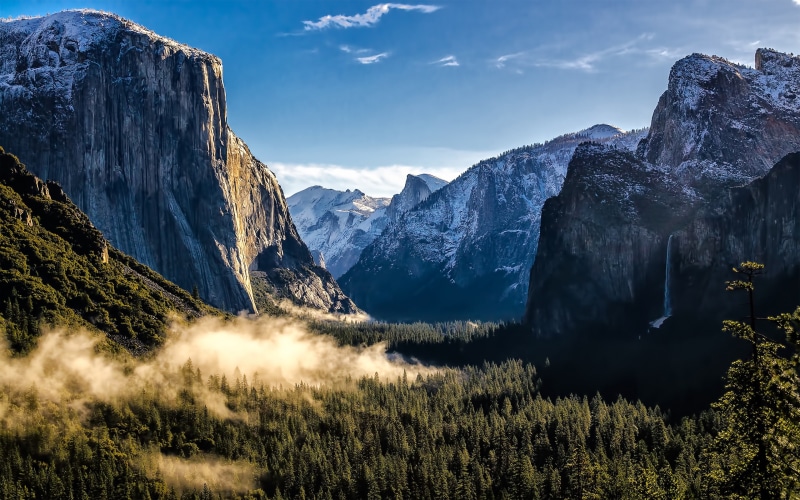 Mountains, Forest, Park, National, USA, Yosemite, 2K, California, Fog