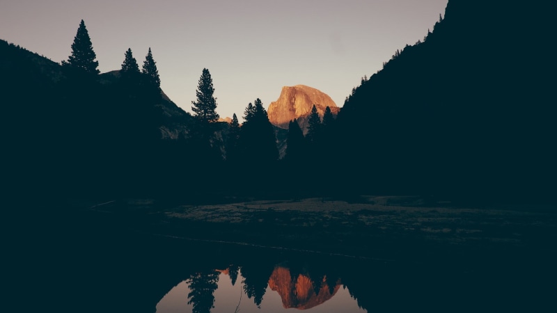 beauty in nature, day, pine tree, 1080P, outdoors, nature, scenics - nature, tranquility, sky, tranquil scene, non-urban scene, lake, reflection, growth