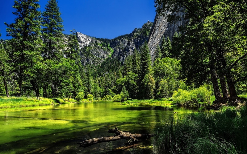 National, Park, Trees, California, 1080P, near, Yosemite, Lake, USA, Green, Mountain