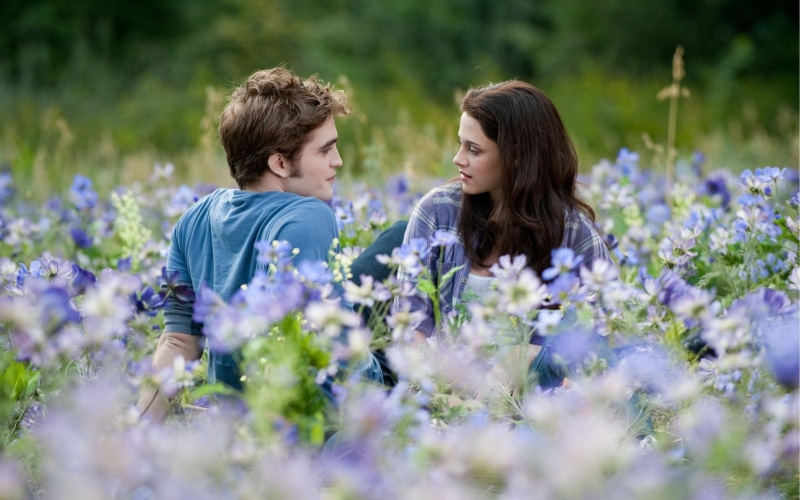 2K, Kristen Stewart, Robert Pattinson, Movie, Twilight