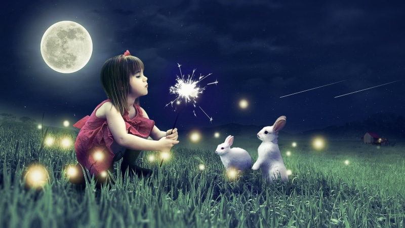 8k, Cute Girl, HD, rabbits, wallappers, 4k, 1080P