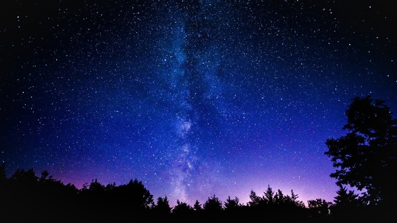 tranquility, low angle view, tranquil scene, space art, growth, idyllic, tree, beauty in nature, milky way, star, space, star field, nighttime, nature