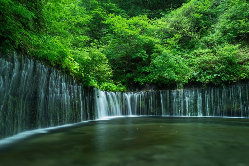 Waterfall, Waterfalls, Greenery, Nature, 1080P