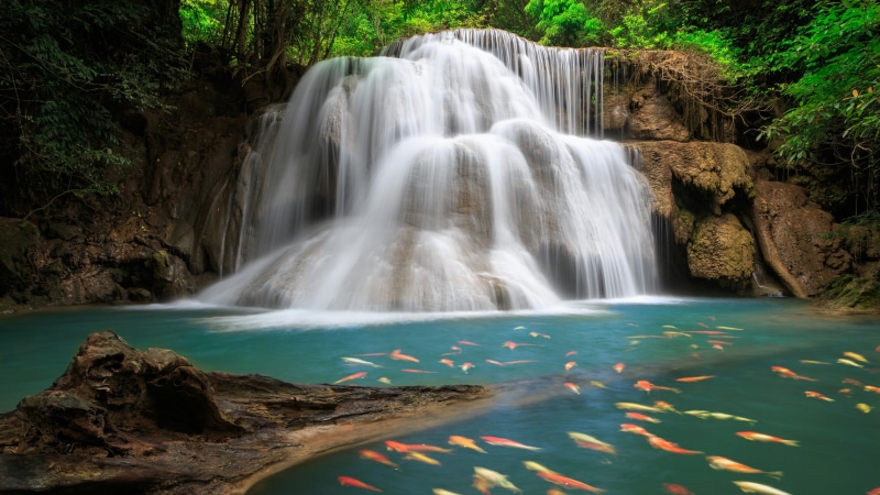long exposure, waterfall, day, nature, flowing, body of water, beauty in nature, kanchanaburi, land, forest, thailand, water, power in nature, stream, chute
