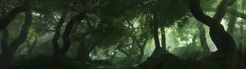 sunbeam, nature, mystery, low angle view, leafed, tree, plant, fairy Tale, summer, trees, streaming, outdoors, no people, day, river, non-Urban Scene, tree Trunk