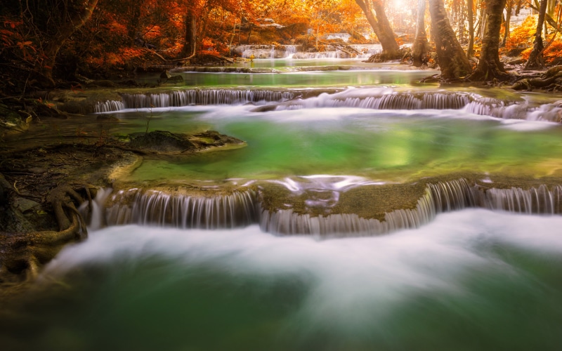 flowing water, deep, tranquil scene, falling water, android, motion, hd, nature, long exposure, water, tree, scenics - nature, flowing, mobile, outdoors