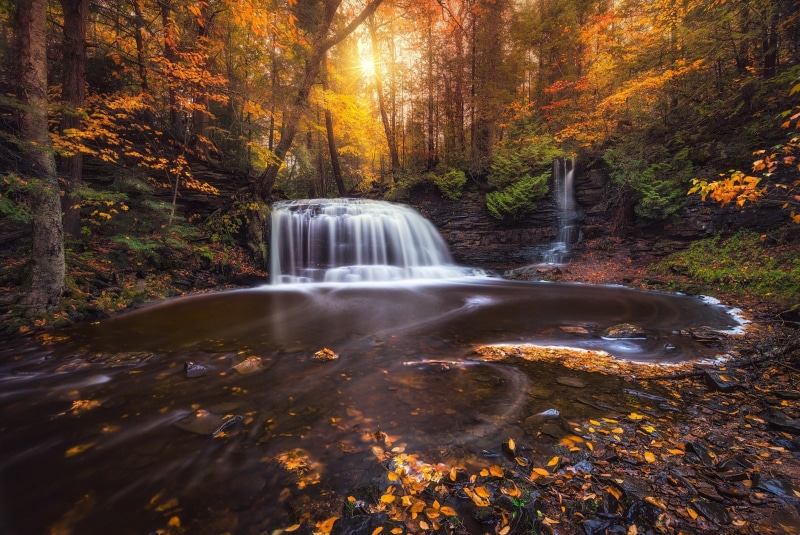 autumn, stream - flowing water, waterfalls, sunlight, 1080P, fall, photography, landscape, forest, colorful, plant, motion, outdoors, leaves, daytime