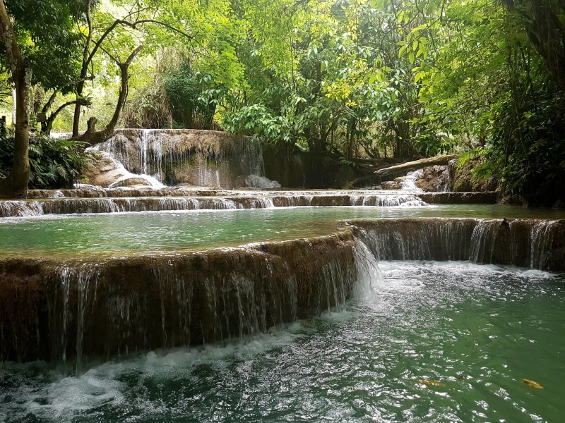 tree, green, river, nature, 4K, flowing water, blurred motion, motion, no people, tranquility, Kuang Si Waterfalls, long exposure, brown, plant, waterfalls