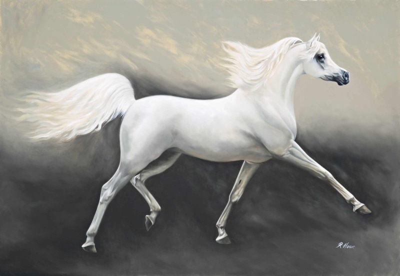 1080P, arabian horse, animals, arab, horse, horses, arab horse, painting, white