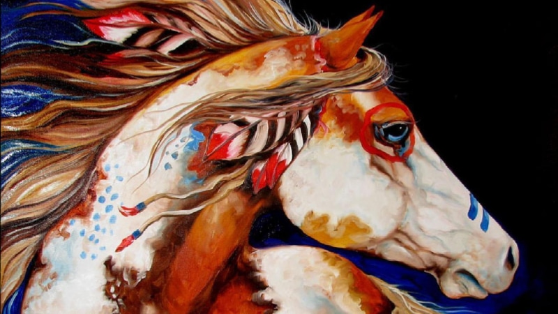 ponies, nature, wildlife, horse, paint horse, native, animals, 1080P, horses, native horses