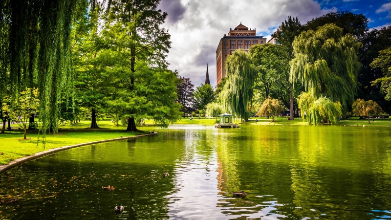 Boston, Trees, Pond, Park, 4K, USA, Grass, Massachusetts