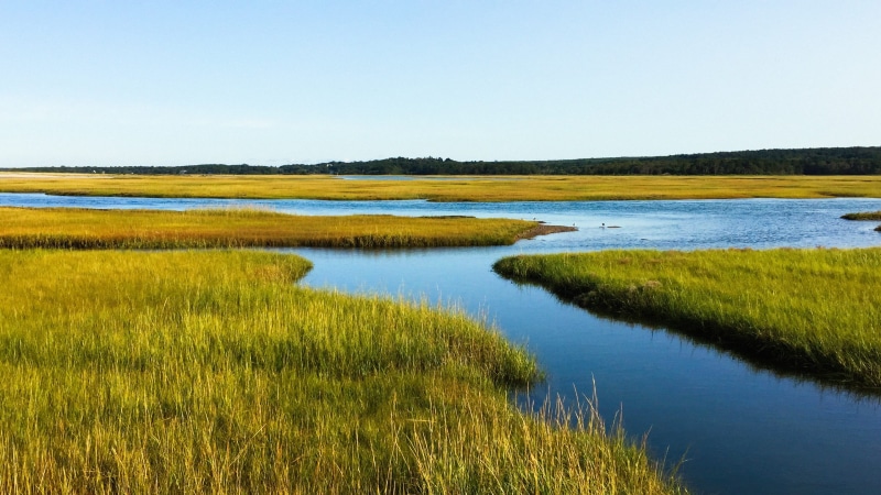 outdoors, ocean, land, green, swamp, plant, beauty in nature, landscape, green color, cape cod, salt marsh, 2K, stream - flowing water, nature, reflection