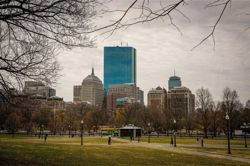 urban Scene, field, urban Skyline, building Exterior, fall, tower, outdoors, built Structure, downtown District, rise, 1080P, bare tree, manhattan - New York City