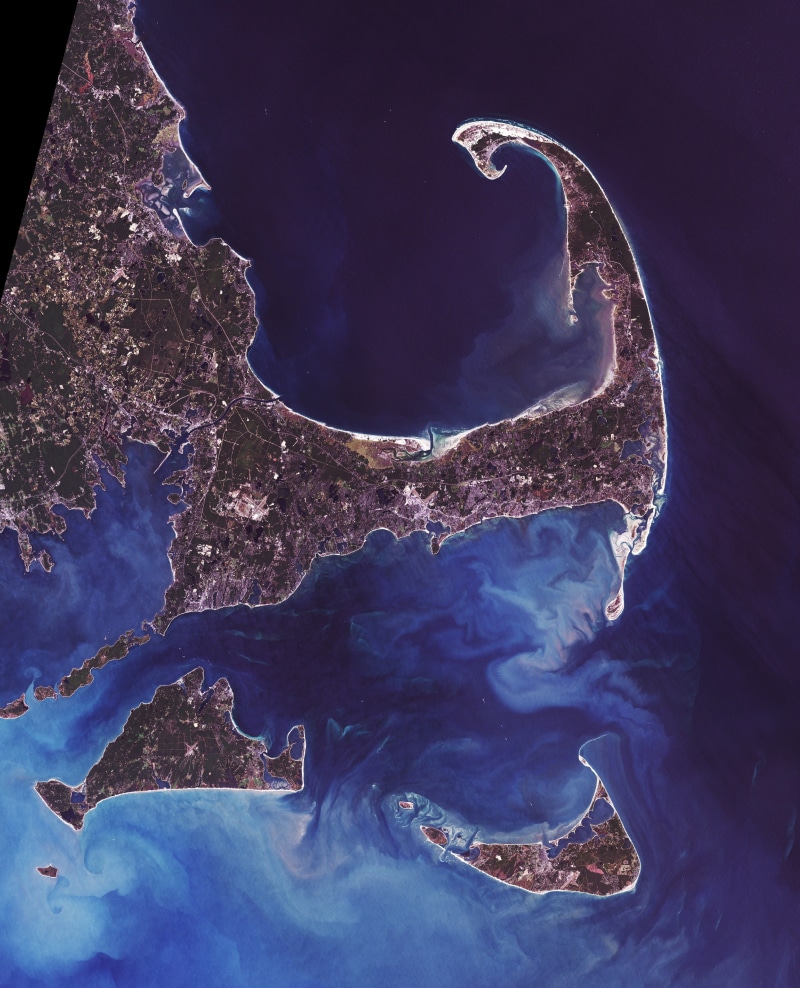 nature, waterfront, water, underwater, Cape Cod Massachusetts, high angle view, sea life, view, beauty in nature, sea, blue, cape cod, cape of islands