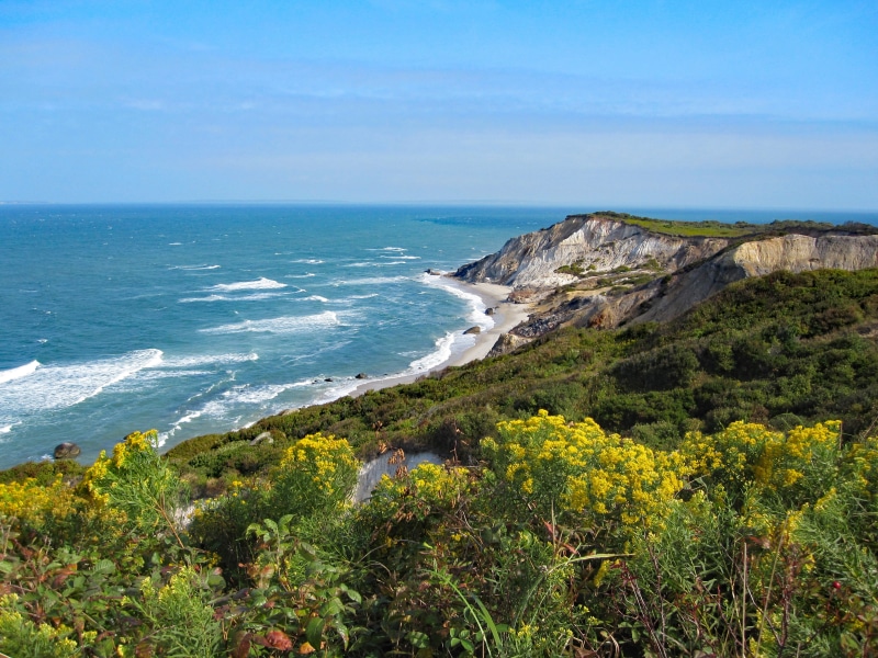 flower, island, cliff, sea, scenics - nature, mv, beauty in nature, vacation, ocean, tranquil scene, scenic, no people, horizon over water, sunny, vineyard