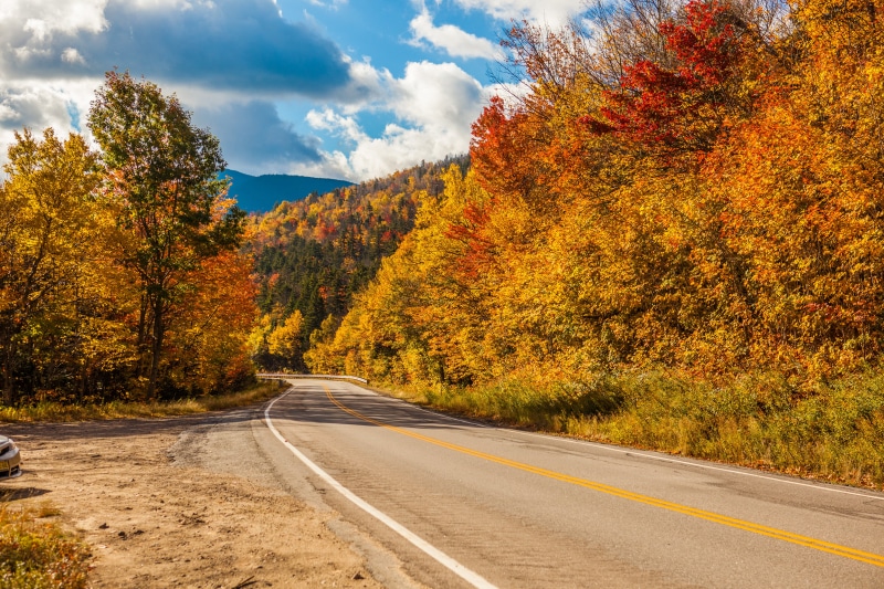 New Hampshire, trees, gray, road, forest, Connecticut, leaf, Maine, yellow, cloudy, nature, tree, 5K, Fall Foliage, sky, brown, Vermont, travel, leaved