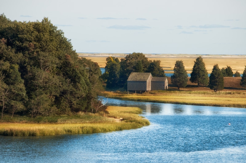 growth, no people, plant, house, water, tranquility, massachusetts, lake, beach, sky, architecture, landscape, nature, tree, shore, waterfront, 2K, cape cod