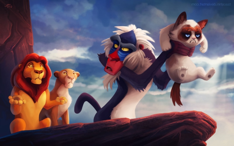 1080P, humor grumpy cat the lion king cat rafiki soft shading memes