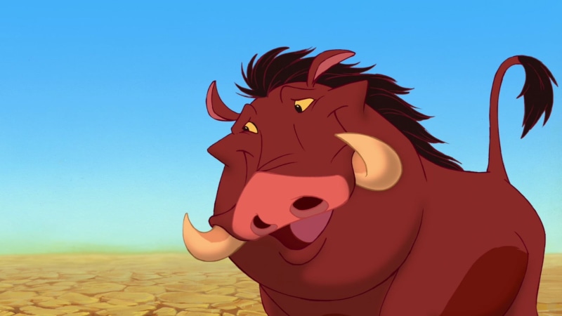 land, The Lion King, plastic, Pumba, art and craft, blue, day, sky, clear sky, king, lion, animated movies, Disney, one person, nature, 1080P, movies
