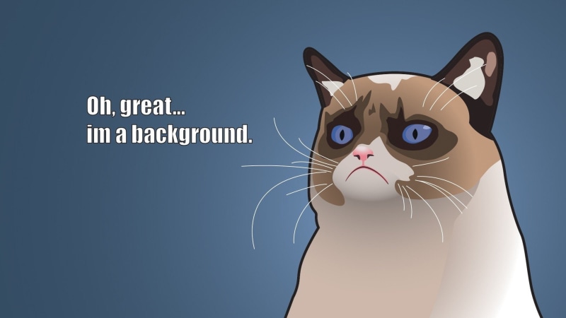 humor, grumpy, meme, funny, cat, 6, quote, 1080P