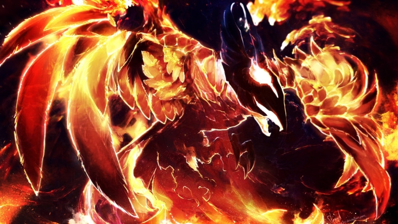 animals in the wild, outdoors, abstract, night, video games, fire, Dota, heat - temperature, full frame, backgrounds, close-up, fire - natural phenomenon