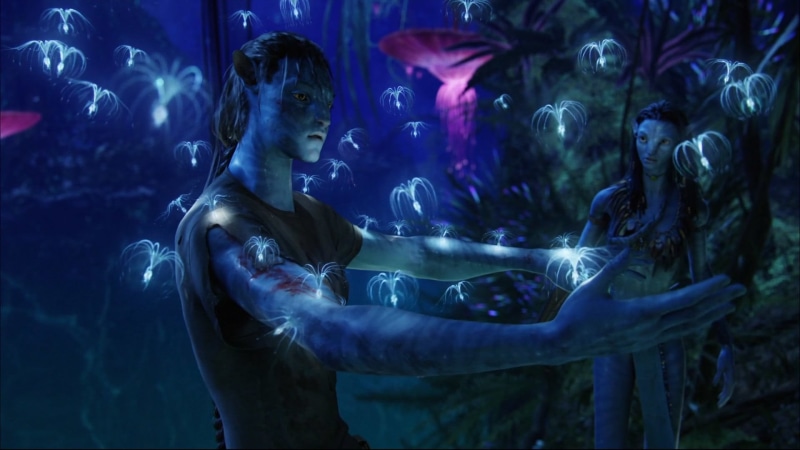 Jake Sully, movie, Neytiri (Avatar), one person, animals in the wild, Navi, blue, transparent, beauty, still, Avatar, holding, tank, beautiful people, underwater
