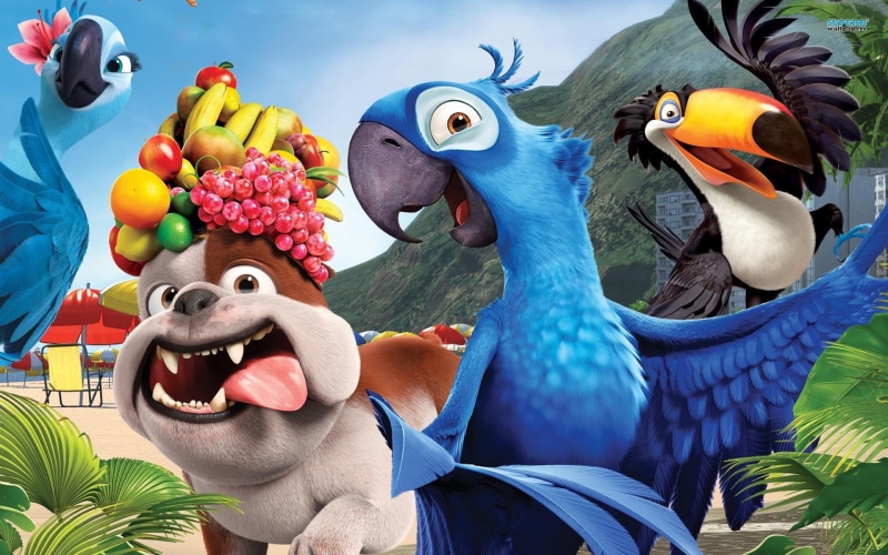movie, birds, hd, 1080P, movies, characters, rio