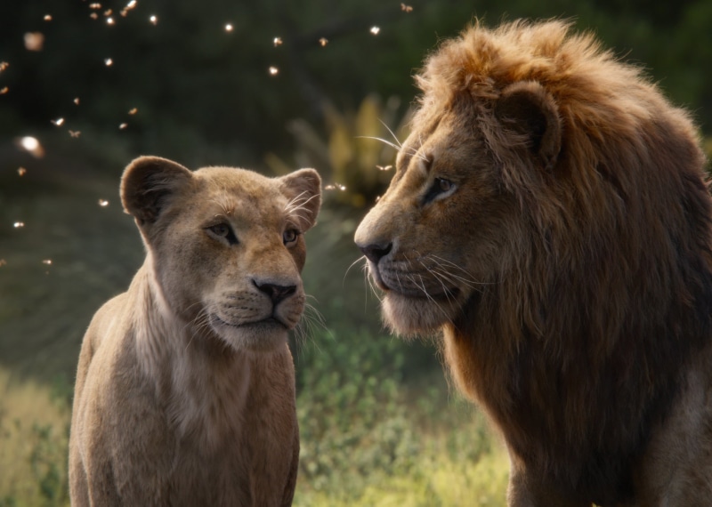 Simba, Movie, 1080P, Nala (The Lion King), The Lion King (2019)