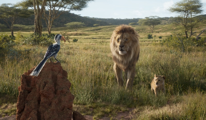 Movie, Simba, The Lion King (2019), Mufasa (The Lion King), 1080P, Zazu (The Lion King)