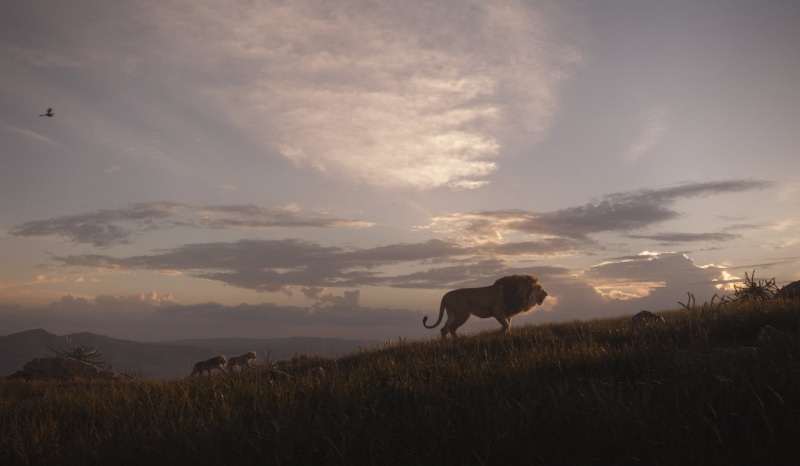 Movie, Simba, 1080P, Nala (The Lion King), The Lion King (2019), Mufasa (The Lion King)