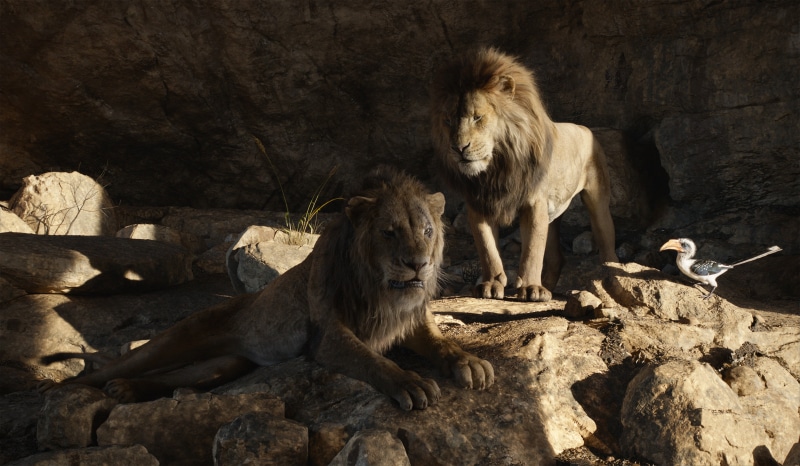 Mufasa (The Lion King), The Lion King (2019), Simba, Zazu (The Lion King), 4K, Movie
