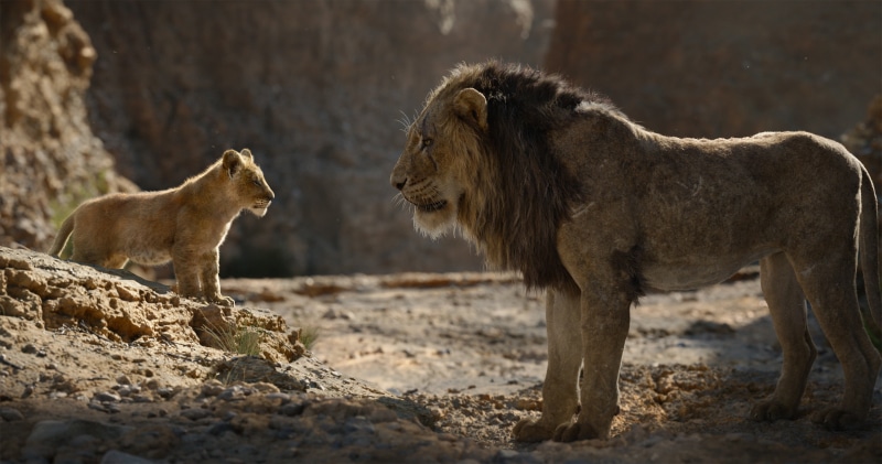 4K, Scar (The Lion King), The Lion King (2019), Movie, Simba
