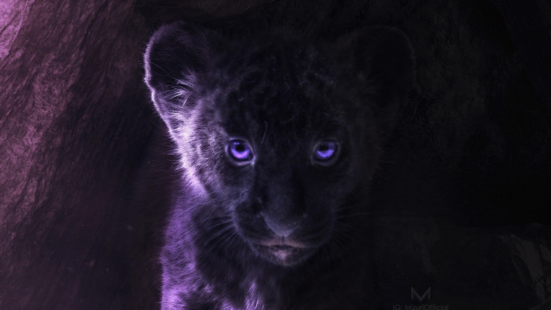Movie, 4K, Simba, The Lion King (2019)