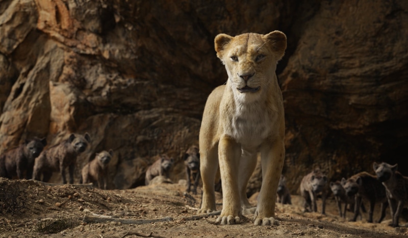 Sarabi (The Lion King), The Lion King (2019), Movie, 1080P