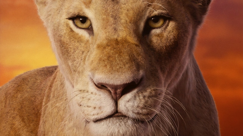 Movie, Simba, 2K, The Lion King (2019)