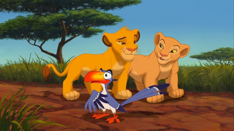 pc, zazu, king, nala, cartoons, simba, mobile, hd, 1080P, tablet, parrot, lion
