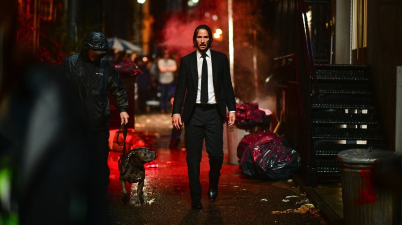 John Wick, John Wick 3: Parabellum, Keanu Reeves, Dog, 1080P, Movie