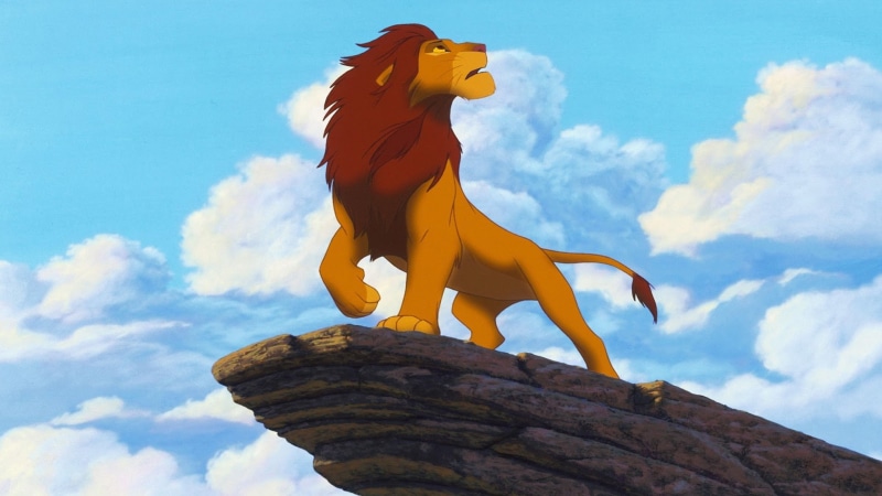 rock, 1080P, hd, king, pride, simba, lion