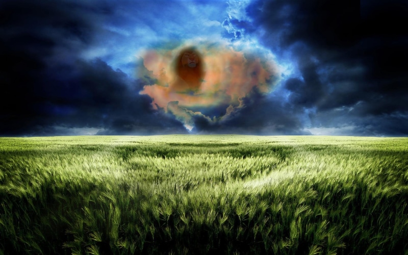 lion, photo, landscapes, disney, king, manipulation, company, 1080P, mufasa