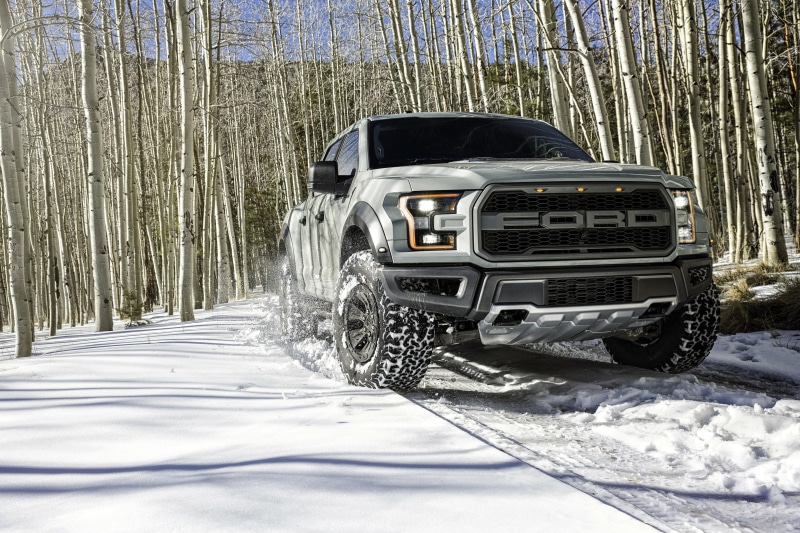 pickup, Ford, birch, winter, F-150, 4K, Raptor, snow, supercrew, gray