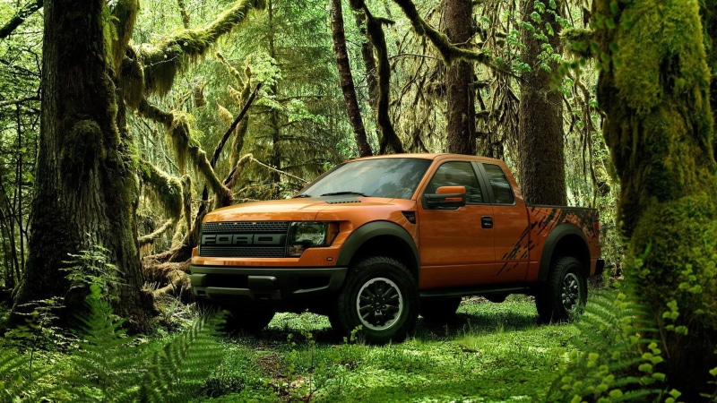 f-150, 1080i, 1080P, raptor, f, svt, ford, forest, 1080p, cars
