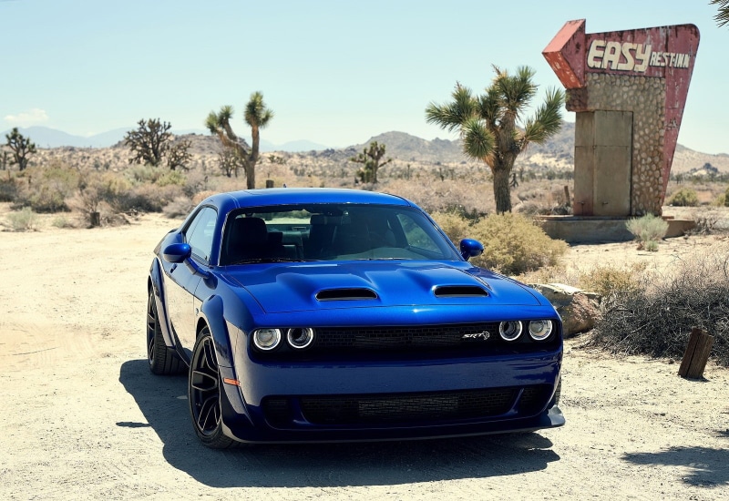 srt, transportation, clear sky, plant, hellcat, land, challenger, motor vehicle, sky, outdoors, road, no people, tree, sunlight, mode of transportation