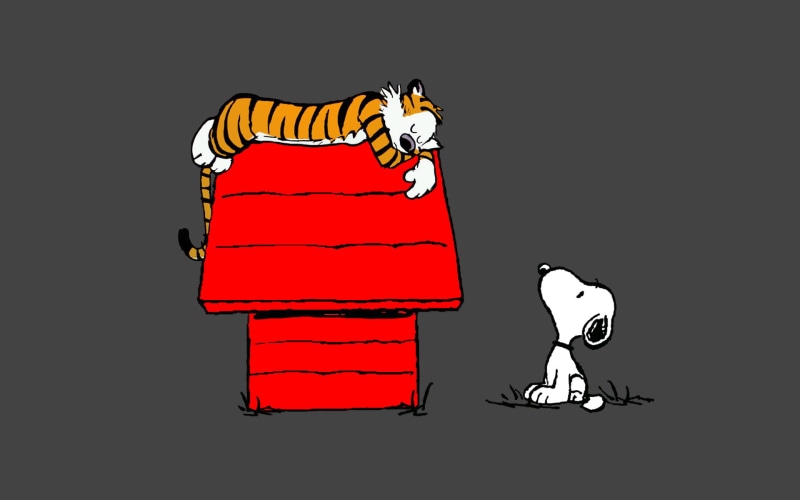 illustration, sleep, 1080P, snoopy, hd, cartoon/comic, hobbes, and, tiger, calvin